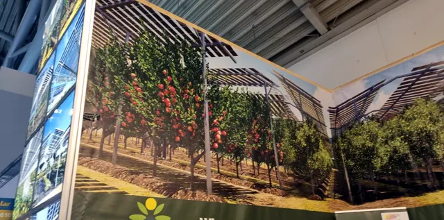 Soluții Agri-PV studiate pentru proiecte agricole